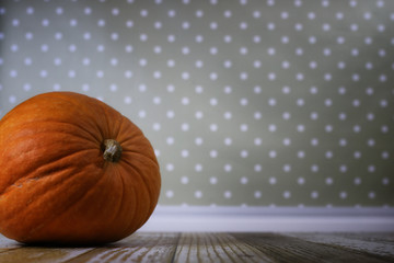 fresh pumpkin in interior wooden room on chair