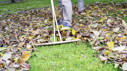 Man piles up foliage together