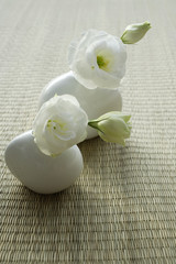Fototapeta na wymiar Two vases with white lisianthus blooms