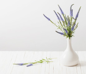 blue flowers in a vase on white background