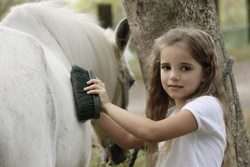 young girl grooming horse