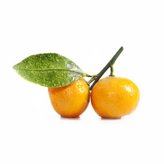 two tangerine (mandarin) with leaf on white background