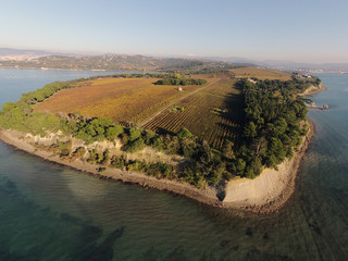 Peninsula