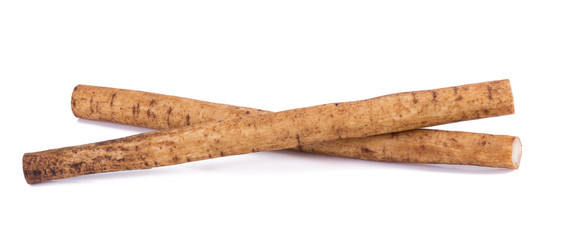 Fresh Burdock roots on white background.