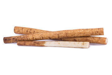 Fresh Burdock roots on white background.