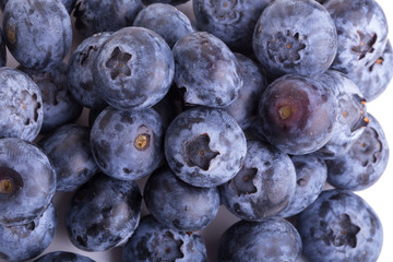 close up of blueberries on white background
