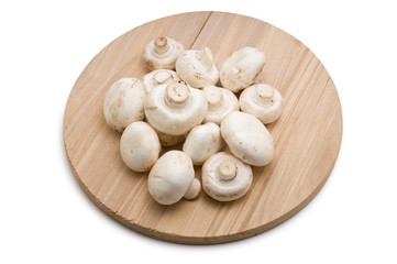  mushrooms