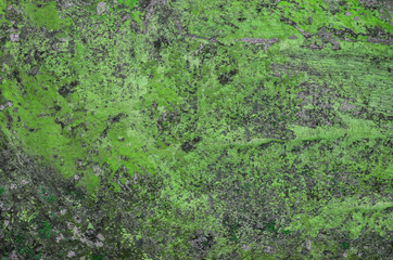 old spotty stained concrete wall texture background. color pattern. green