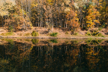 autumn landscape on the river autumn morning. Belarus