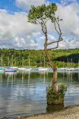 Lake Windermere at Bowness