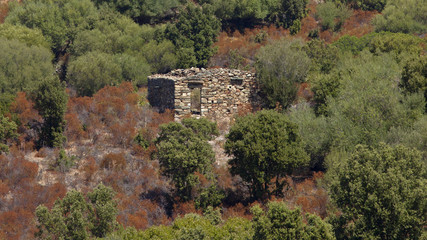 Cabane de pierre en ruine dans le maquis Corse, France