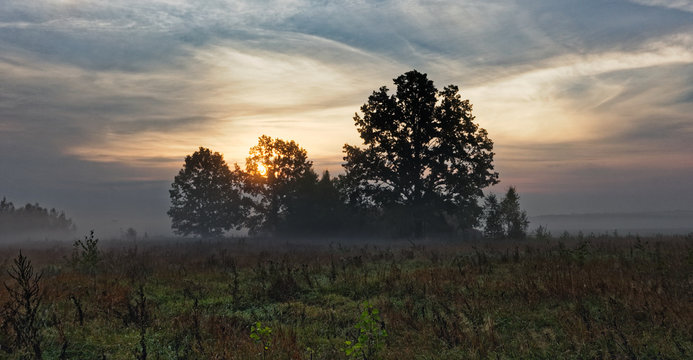 Dawn in the Belarusian Polesye