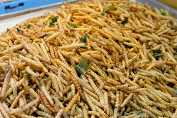 Fried bamboo caterpillar with salt, Local food snacks that are high in protein, Food in Thailand