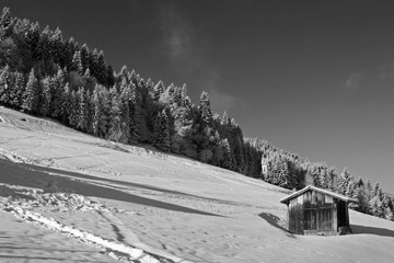 Paysage en hiver &agrave; la montagne, campagne, avec la neige blanche qui recouvre la nature et des arbres sauf les sapins. Soleil qui perce entre les nuages au-dessus des vall&eacute;es enneig&eacute;es des Alpes.