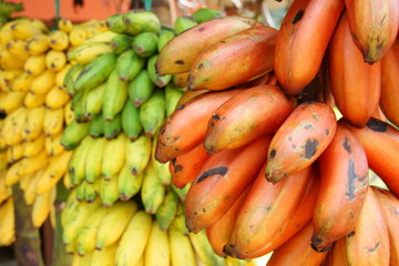Red, green and yellow banana bunches in a fruit shop along the road (Sri Lanka)