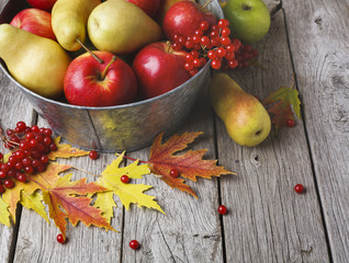 Autumn harvest and thanksgiving card background