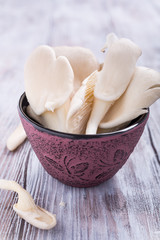 Fresh oyster mushroom in pink bowl on old white wooden background