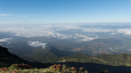 Obraz premium tropical forest and mountain landscape