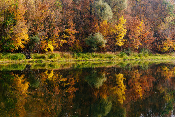 autumn landscape on the river autumn morning. Belarus
