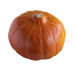 Kürbis