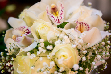 Ramos de flores delicadas