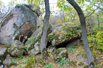 Fototapeta na wymiar Stones on the grove in the autumn forest