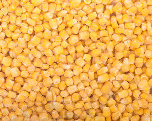 Frozen organic corn like artistic texture background