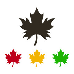 Maple leaf icon vector