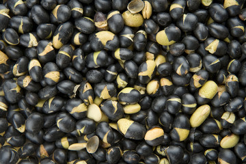 건강한 음식재료