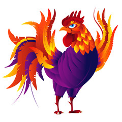 Colorful cartoon rooster, symbol of 2017 year by eastern calendar. Isolated on white. Vector Illustration.