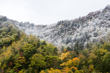 初雪の峰