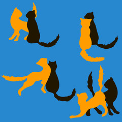 a set of pairs of cats