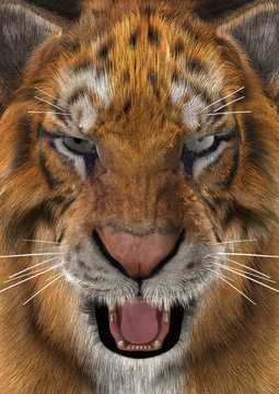 3D Rendering Tiger