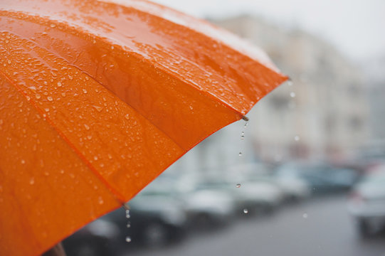 Rain On Umbrella