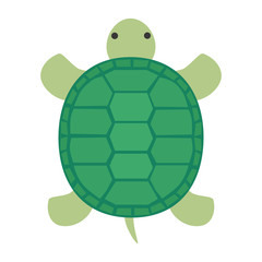 緑色のカメ