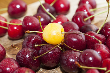 red ripe cherry