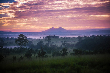 Great sunrise in thailand savanna 