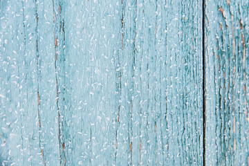 Blue wood texture with snow christmas background