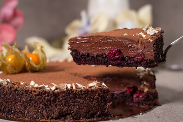 chocolate cherry cake with berries, close-up studio photo