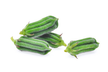 Fresh Sesame Seeds pods isolated on white