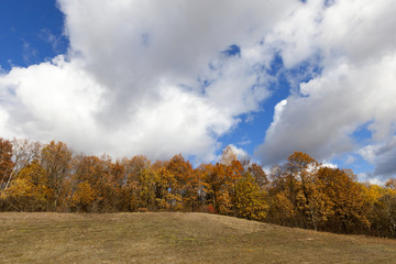 Fototapeta premium Nature in autumn season