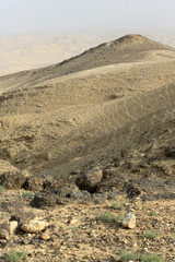 Judean desert. Neguev. Israël.