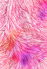pattern of pink violet feathers, leaves, twigs. Art background, design element