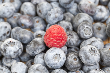 ripe blueberries, close-up