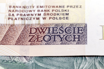 Polish Zloty closeup