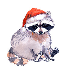 Cute raccoon animal in red santa's hat. Christmas Watercolor © zzorik