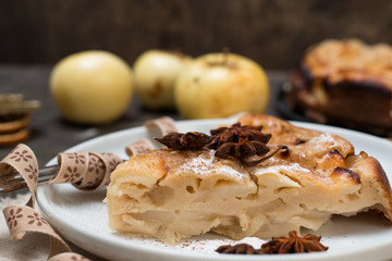 Piece of handmade apple pie. Selective focus.