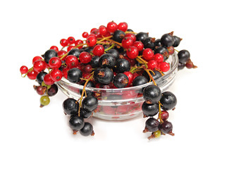 Currant on a white background