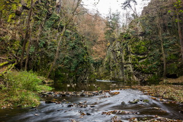 Obraz premium Autumn creek in bohemian forest, Czech Republic.