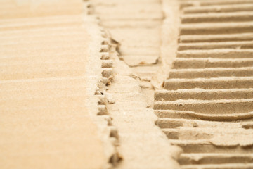 torn cardboard in shallow focus